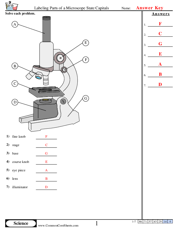  - 11554 worksheet