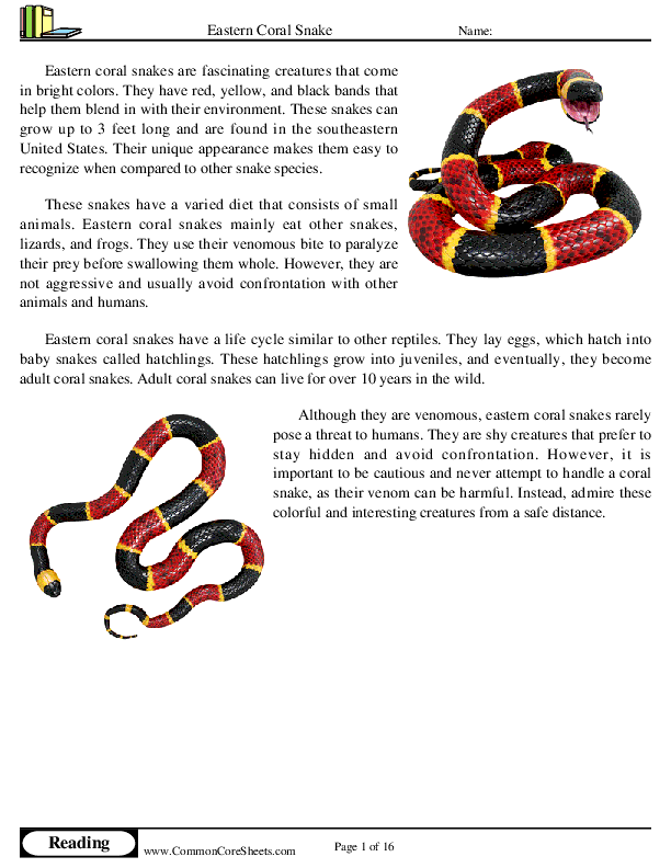  - eastern-coral-snake worksheet