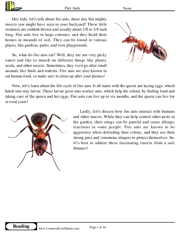  - fire-ants worksheet