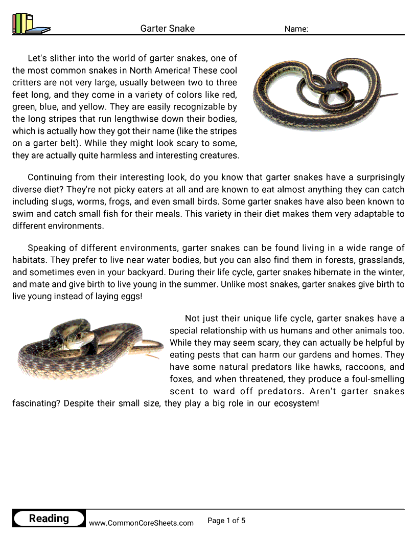 Share - garter-snake worksheet