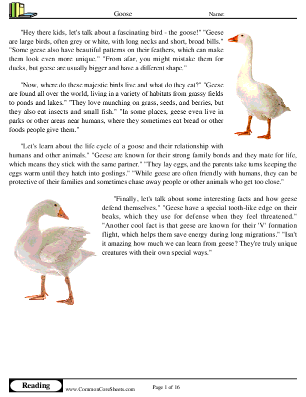  - goose worksheet