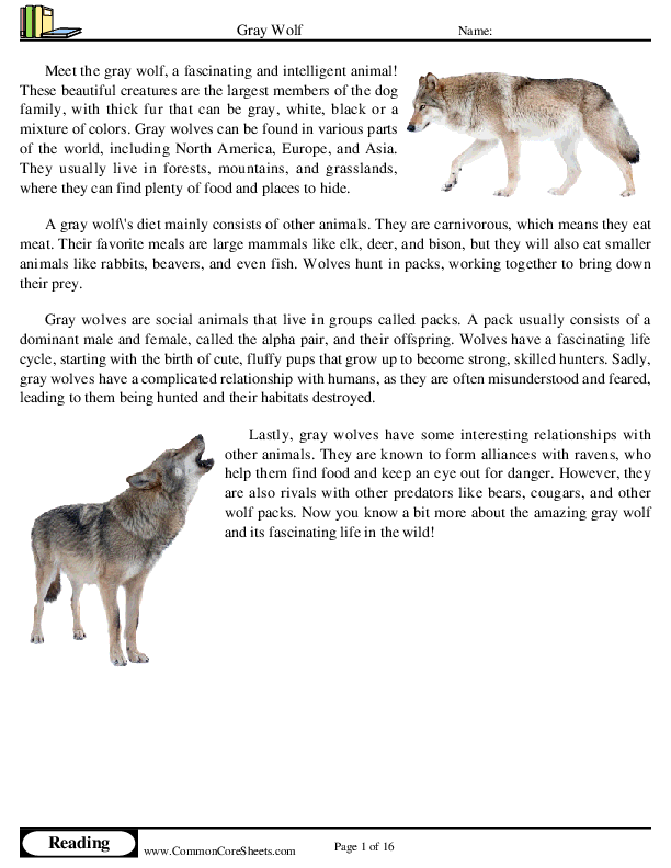  - gray-wolf worksheet