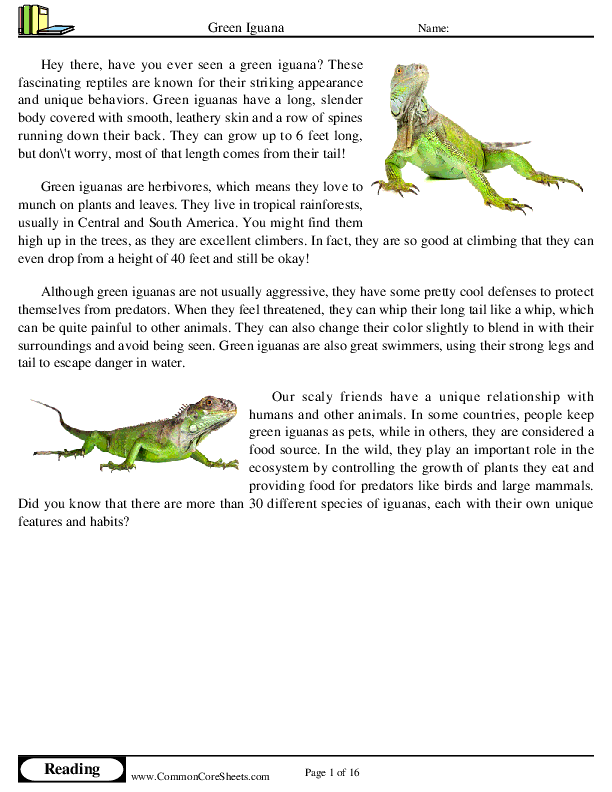  - green-iguana worksheet