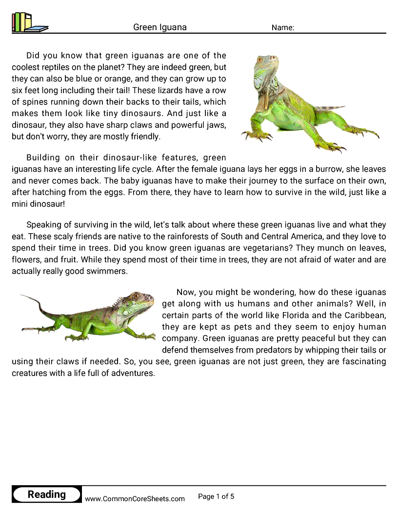 Share - green-iguana worksheet