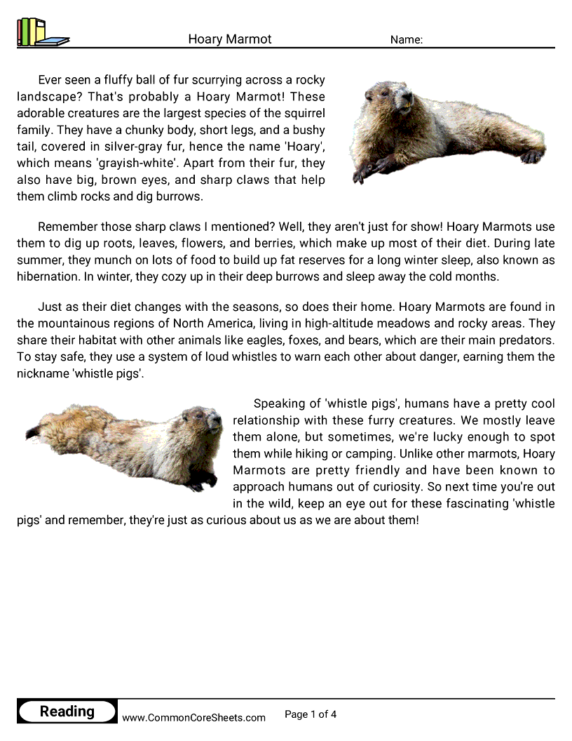 Share - hoary-marmot worksheet