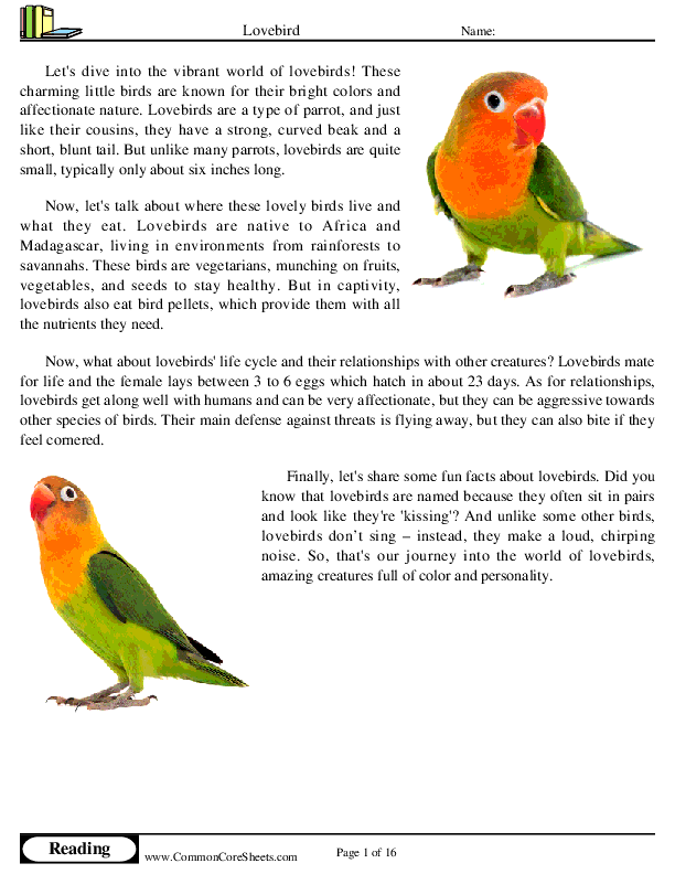  - lovebird worksheet