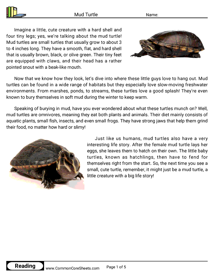 Share - mud-turtle worksheet