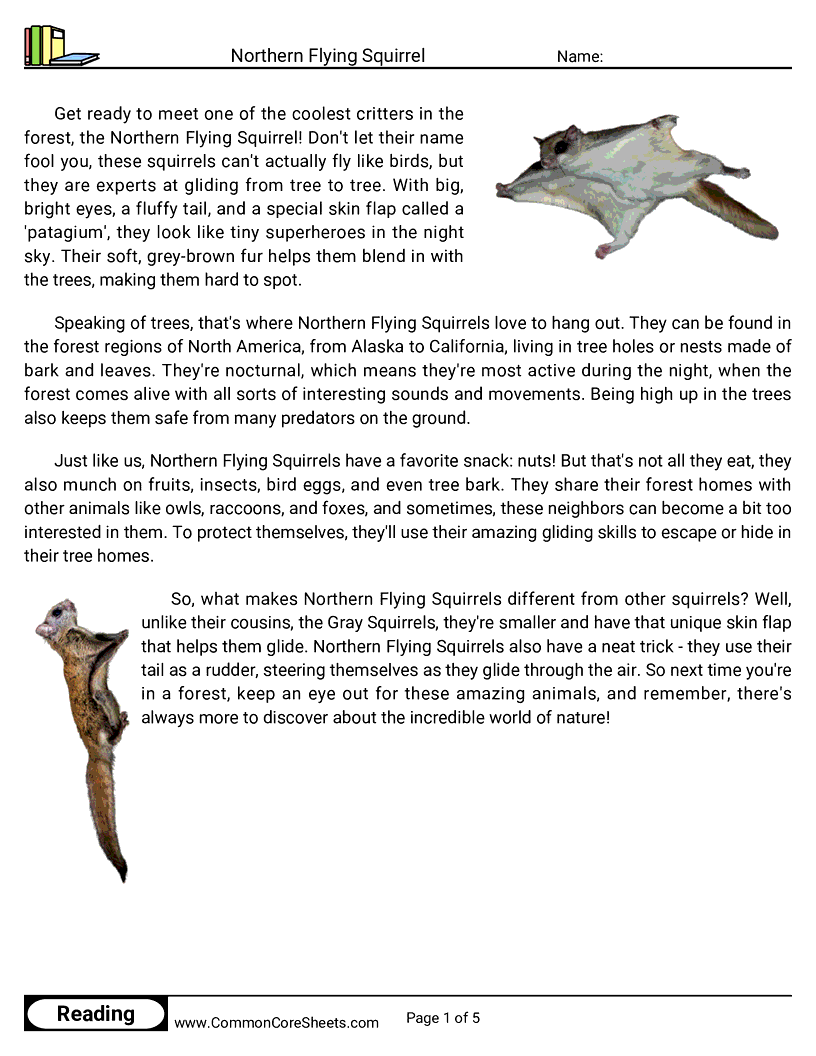 Share - northern-flying-squirrel worksheet