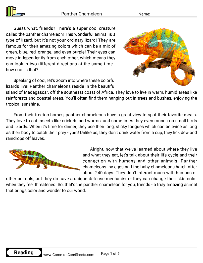 Share - panther-chameleon worksheet