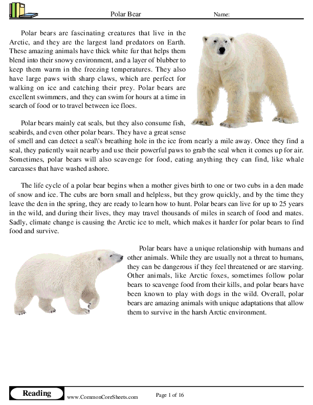  - polar-bear worksheet