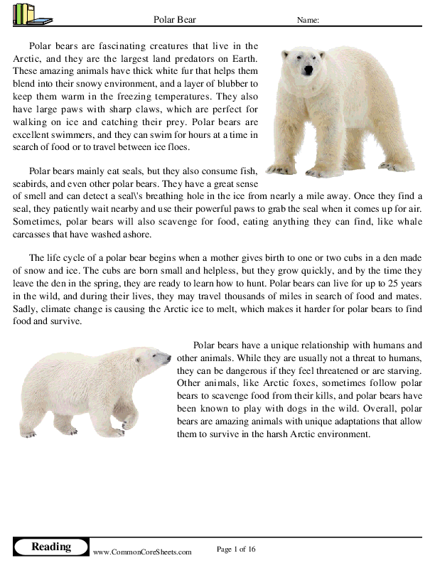 Polar Bear Worksheet