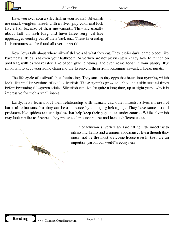  - silverfish worksheet