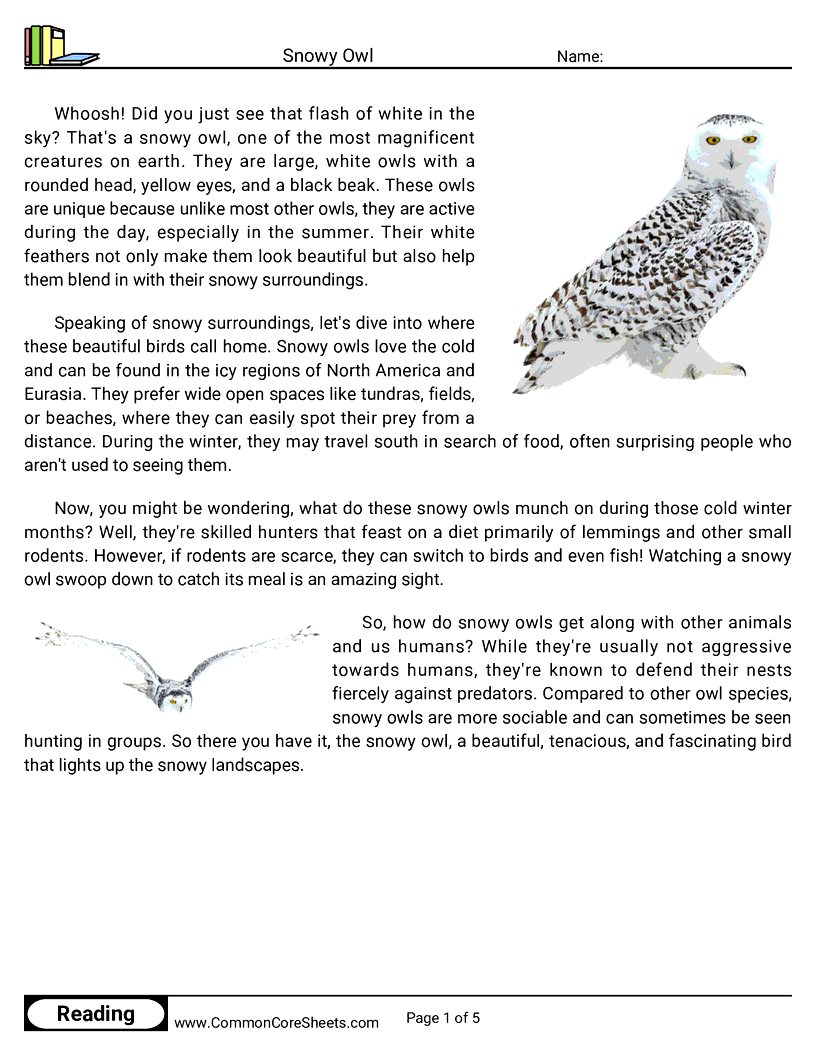 Reading Comprehension Birds Worksheets - snowy-owl worksheet