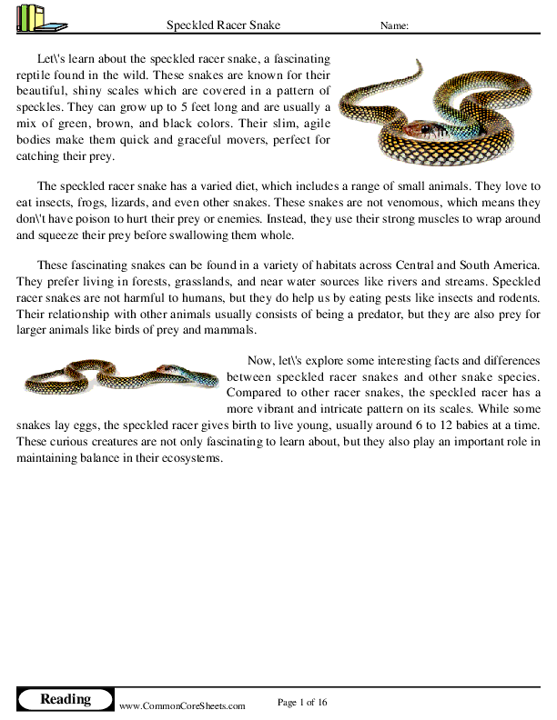  - speckled-racer-snake worksheet