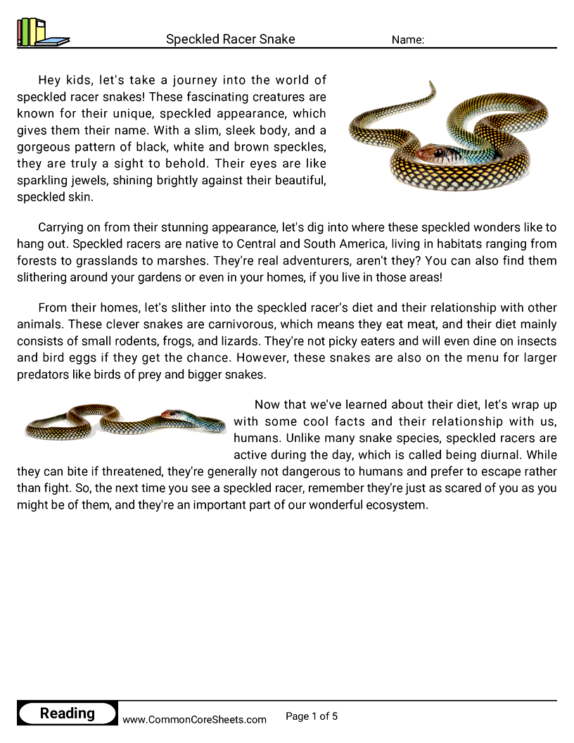 Share - speckled-racer-snake worksheet