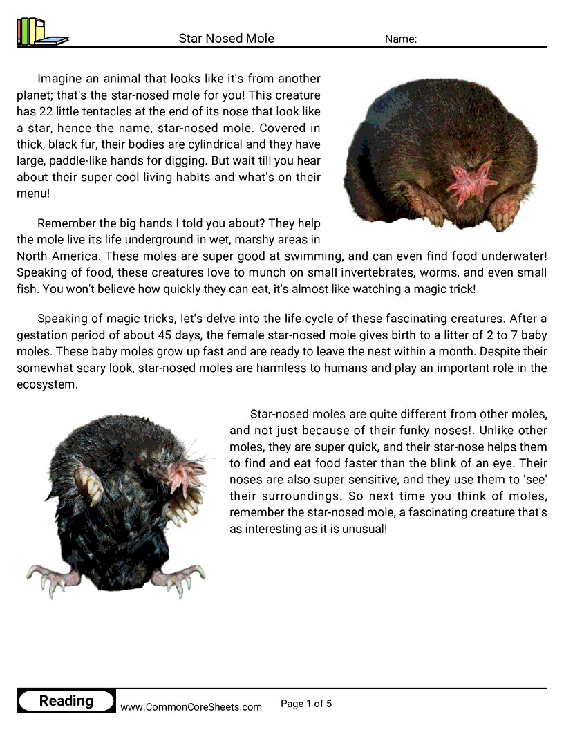 Share - star-nosed-mole worksheet