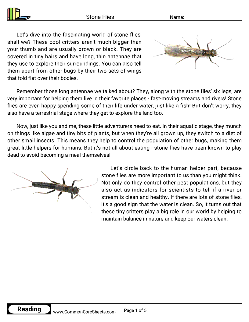 Reading Comprehension Insects Worksheets - stone-flies worksheet