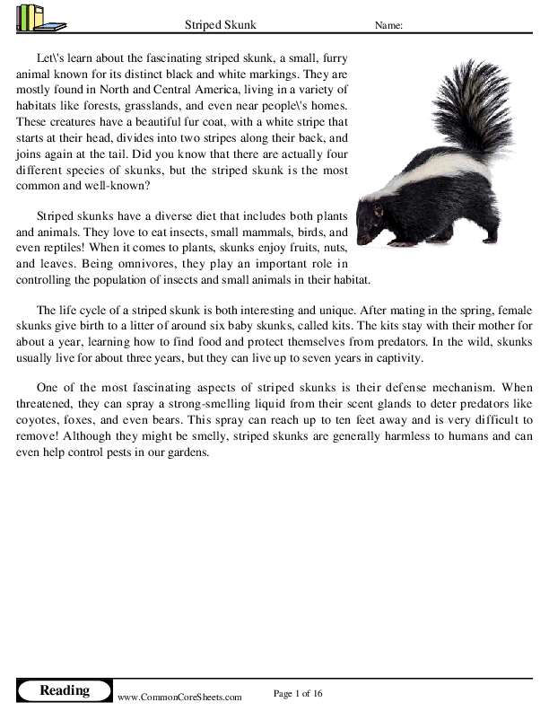  - striped-skunk worksheet