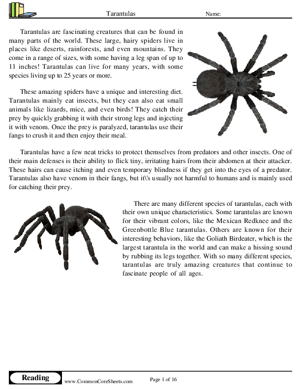  - tarantulas worksheet