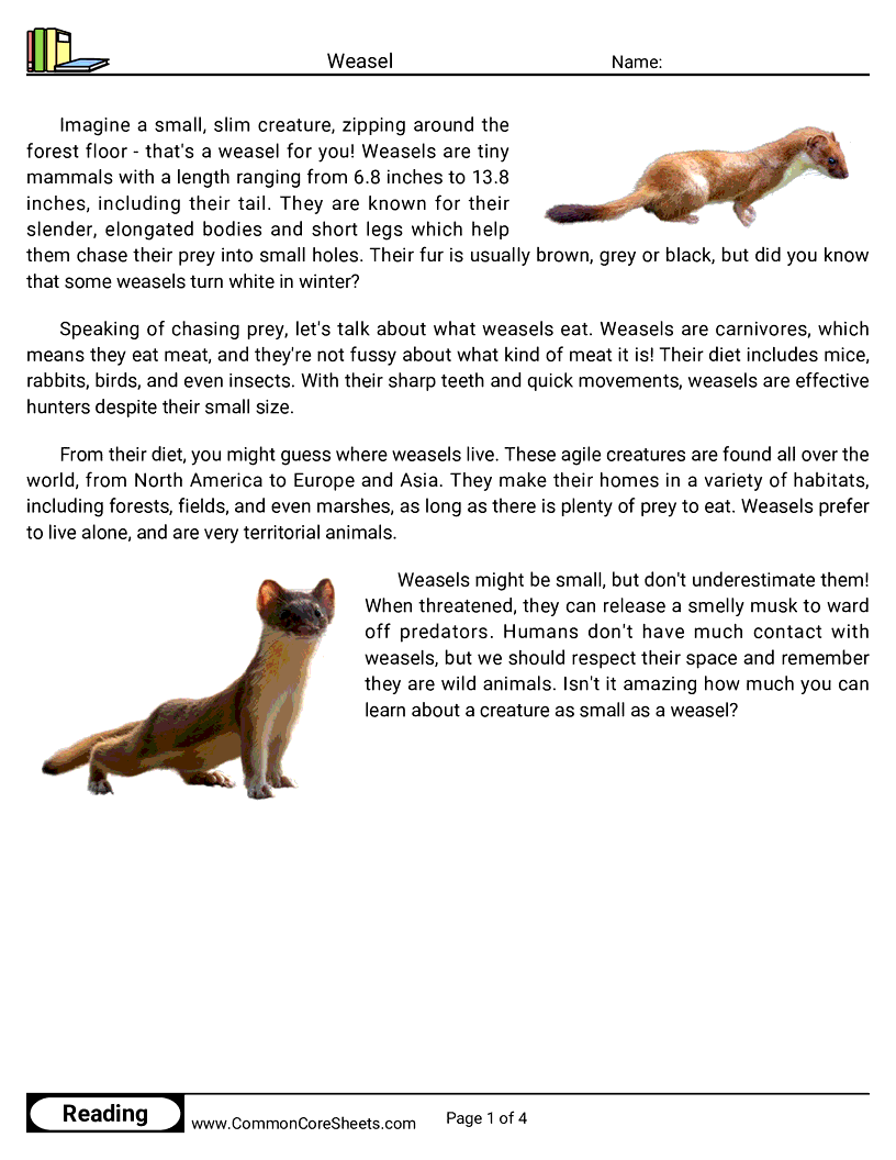 Share - weasel worksheet