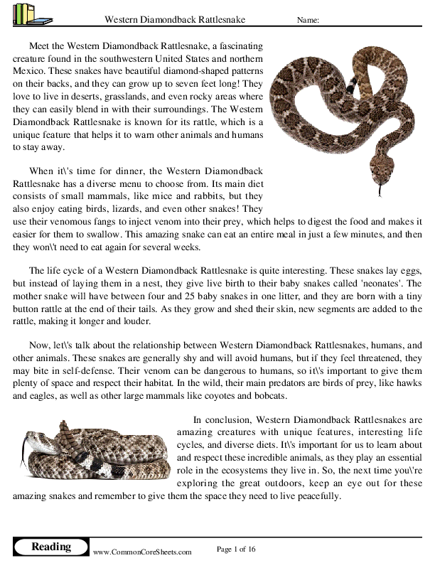  - western-diamondback-rattlesnake worksheet