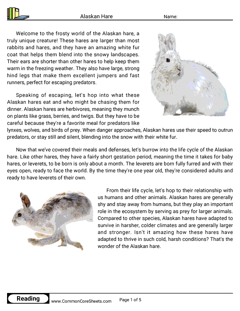 Share - alaskan-hare worksheet