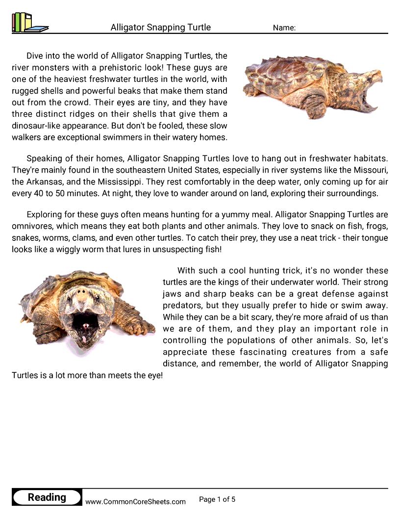 Share - alligator-snapping-turtle worksheet