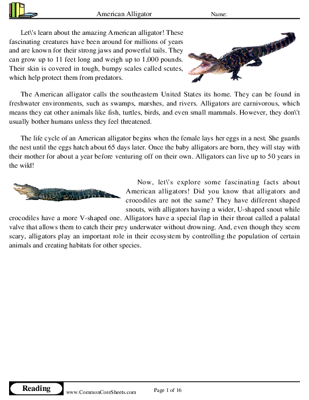  - american-alligator worksheet