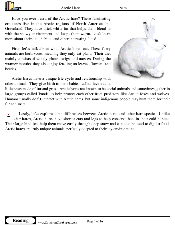  - arctic-hare worksheet