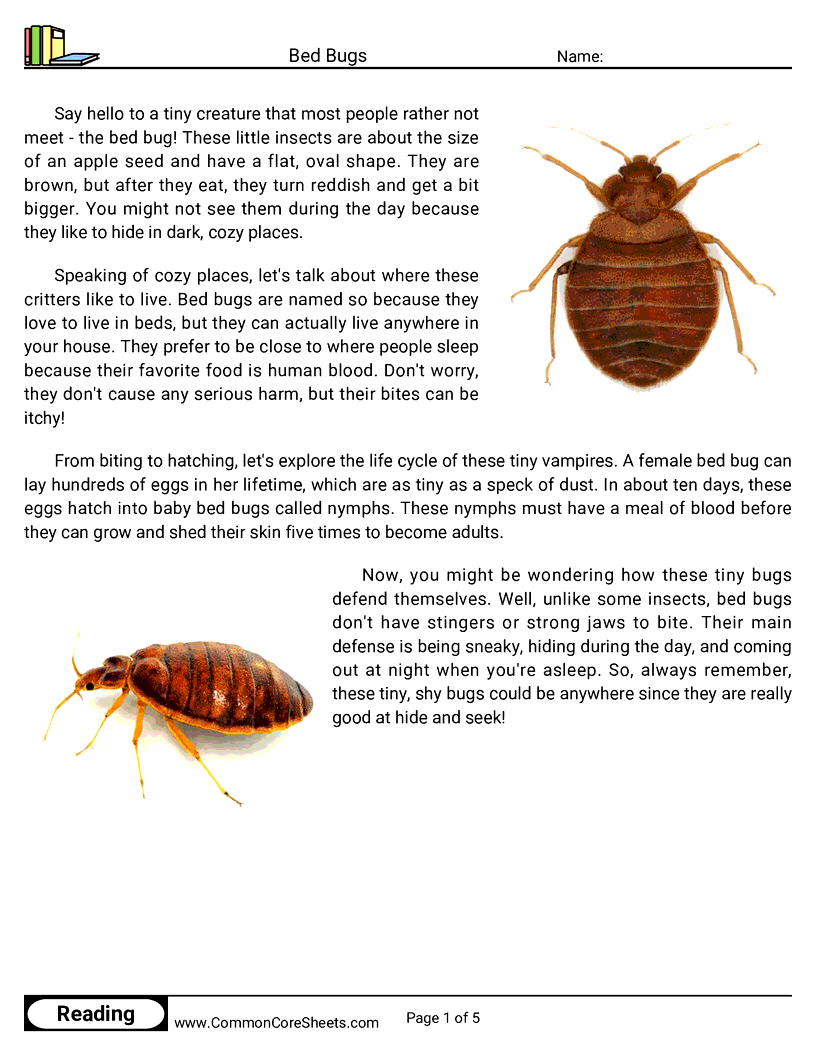 Reading Comprehension Insects Worksheets - bed-bugs worksheet