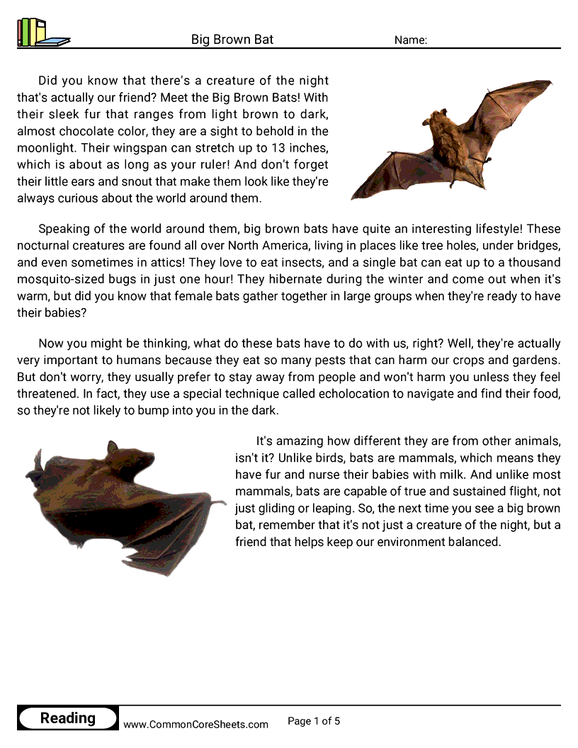 Share - big-brown-bat worksheet