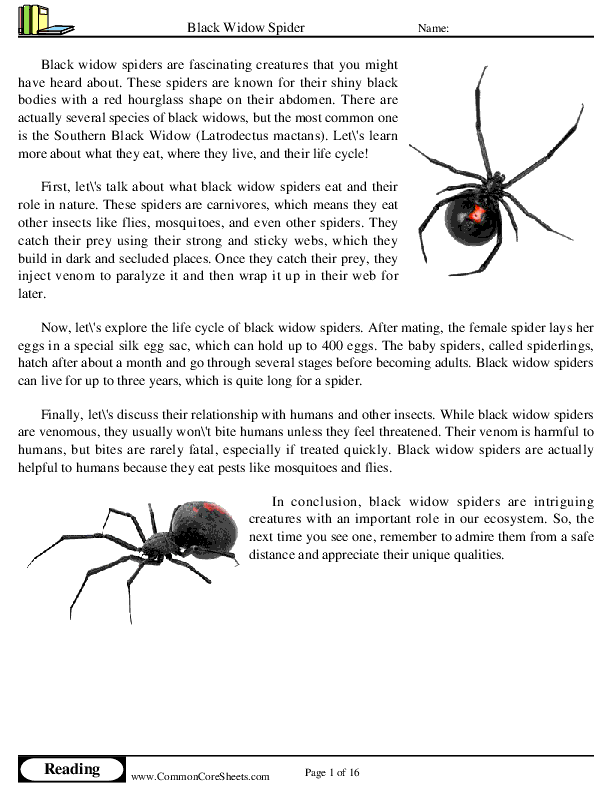  - black-widow-spider worksheet
