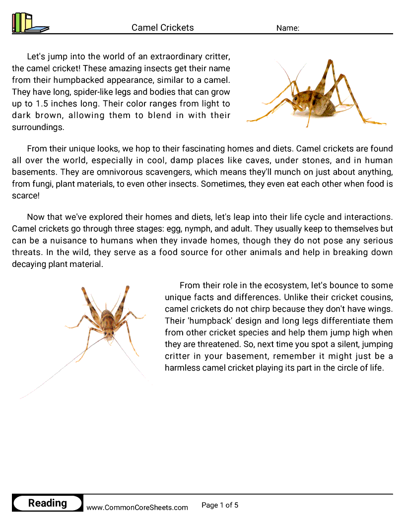 Reading Comprehension Insects Worksheets - camel-crickets worksheet