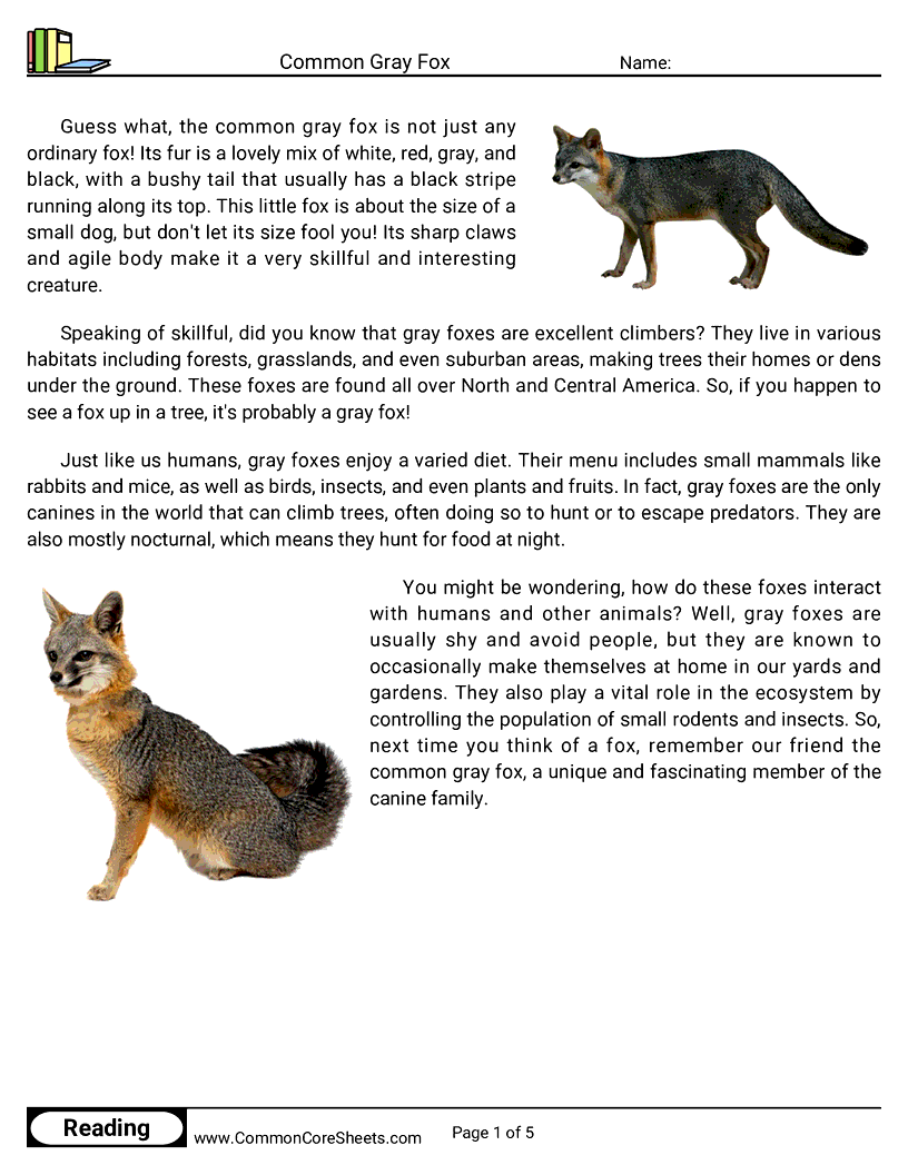 Share - common-gray-fox worksheet