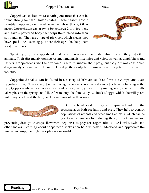  - copper-head-snake worksheet