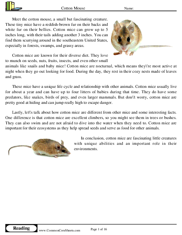 - cotton-mouse worksheet