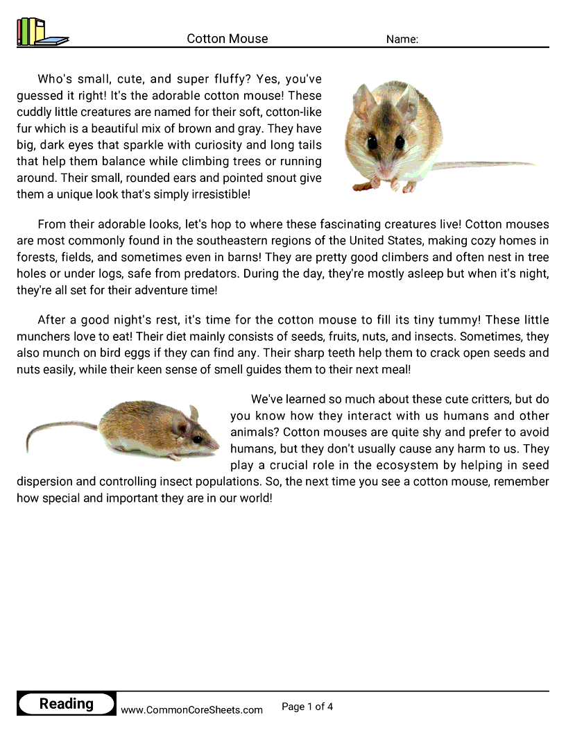 Share - cotton-mouse worksheet
