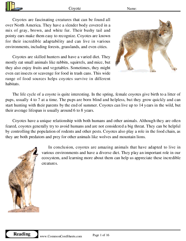  - coyote worksheet