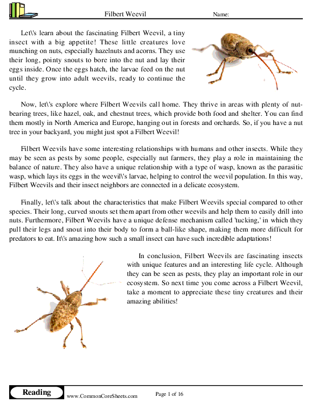  - filbert-weevil worksheet