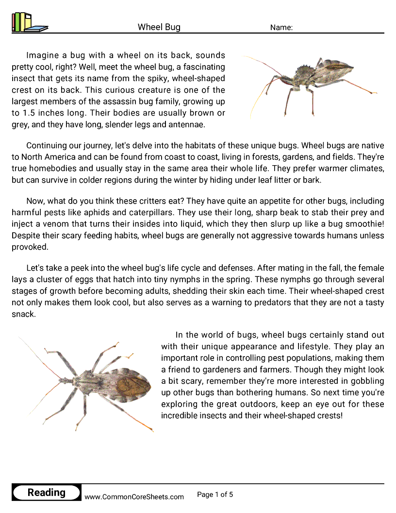 Reading Comprehension Insects Worksheets - wheel-bug worksheet