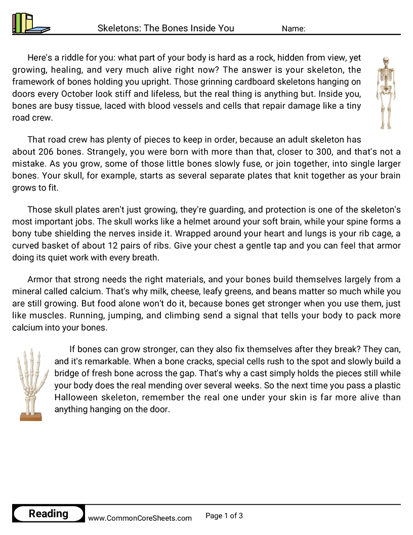 5th Grade 31 Days of Halloween Reading - Skeletons: The Bones Inside You worksheet