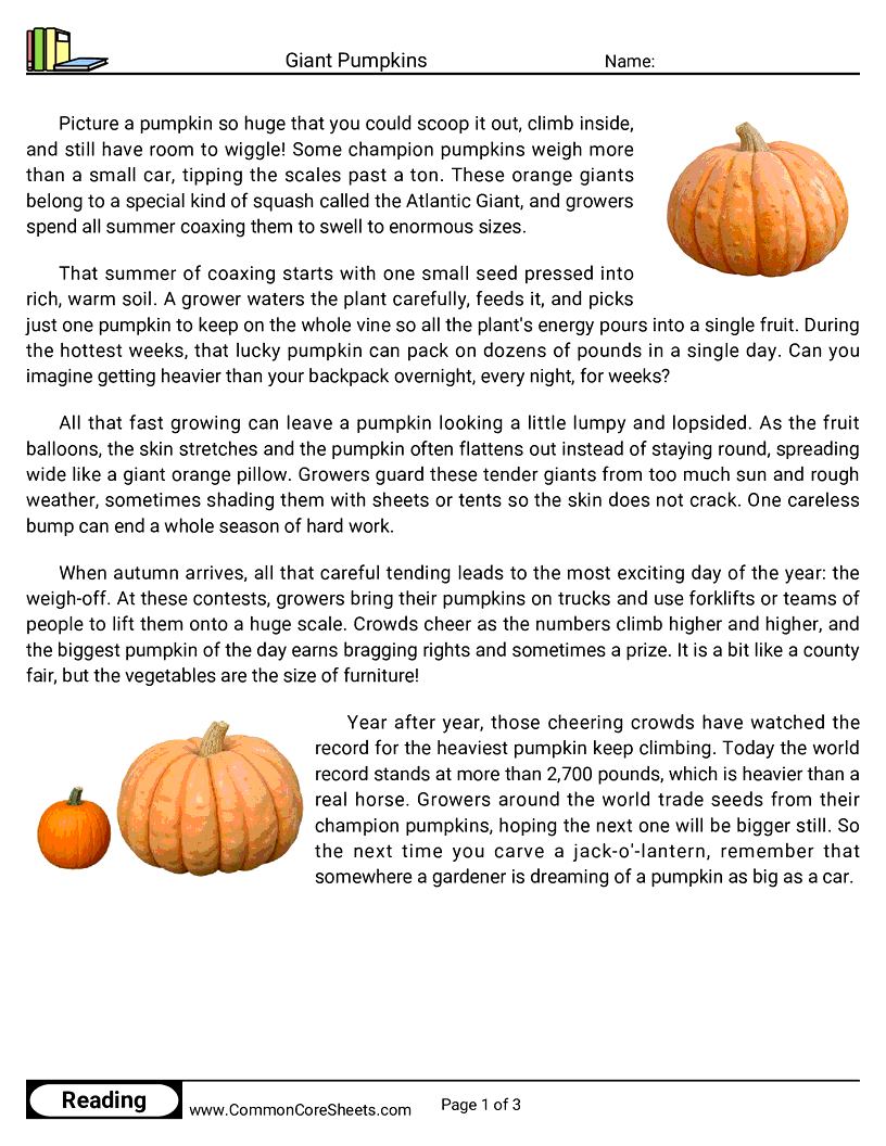 Giant Pumpkins worksheet preview