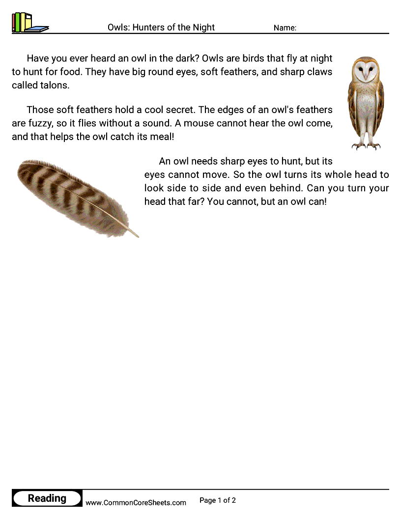 1st Grade 31 Days of Halloween Reading - Owls: Hunters of the Night worksheet