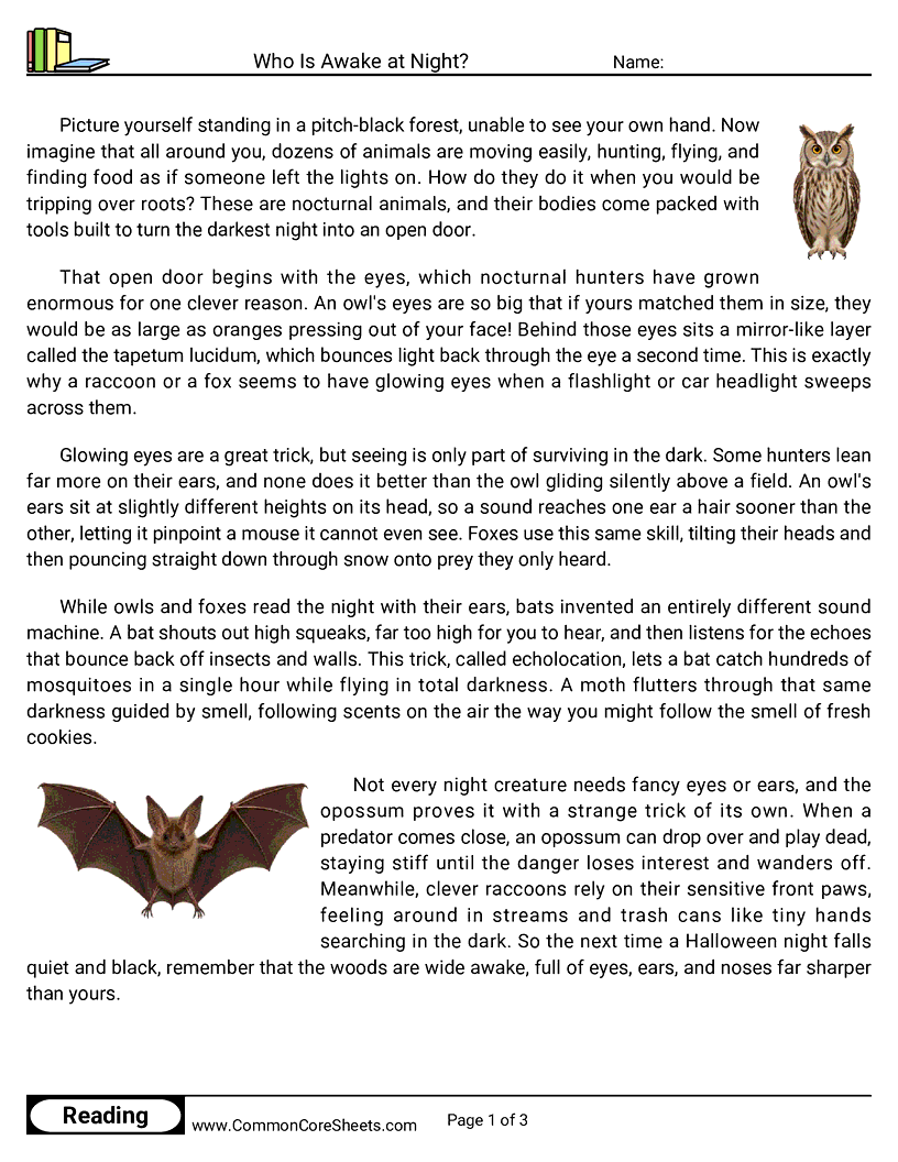5th Grade 31 Days of Halloween Reading - Who Is Awake at Night? worksheet