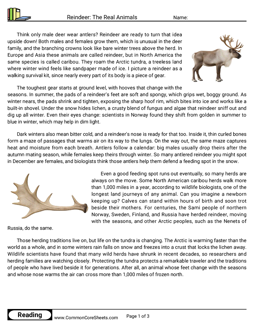 6th Grade 25 Days of Christmas Reading - Reindeer: The Real Animals worksheet
