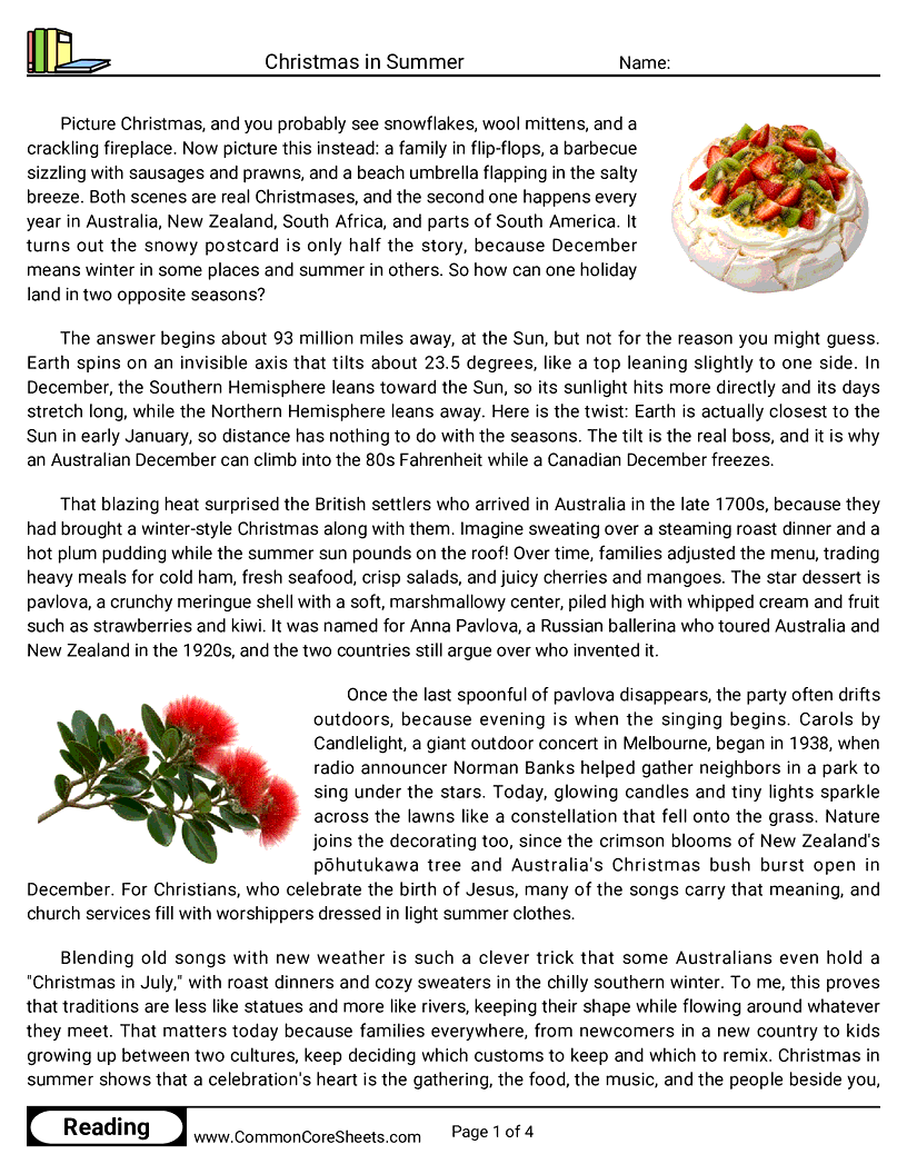 6th Grade 25 Days of Christmas Reading - Christmas in Summer worksheet