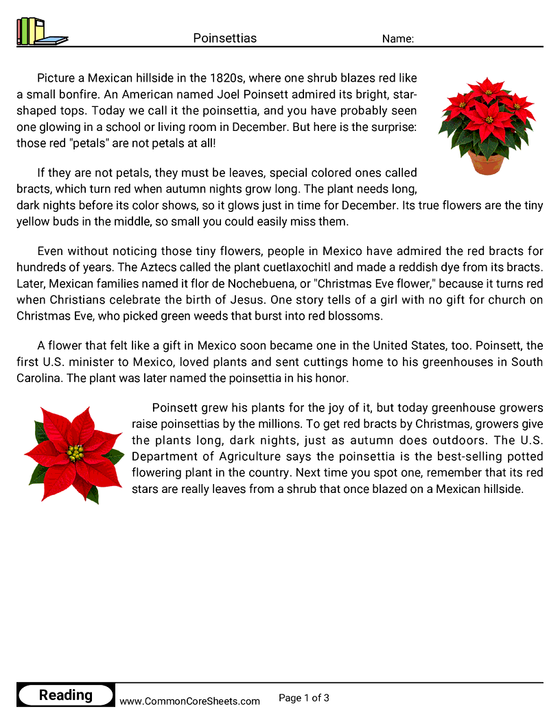 4th Grade 25 Days of Christmas Reading - Poinsettias worksheet