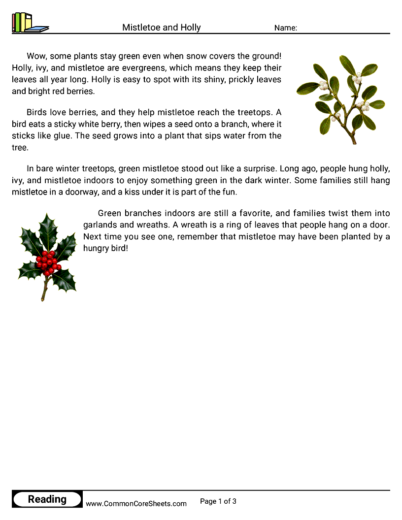 2nd Grade 25 Days of Christmas Reading - Mistletoe and Holly worksheet