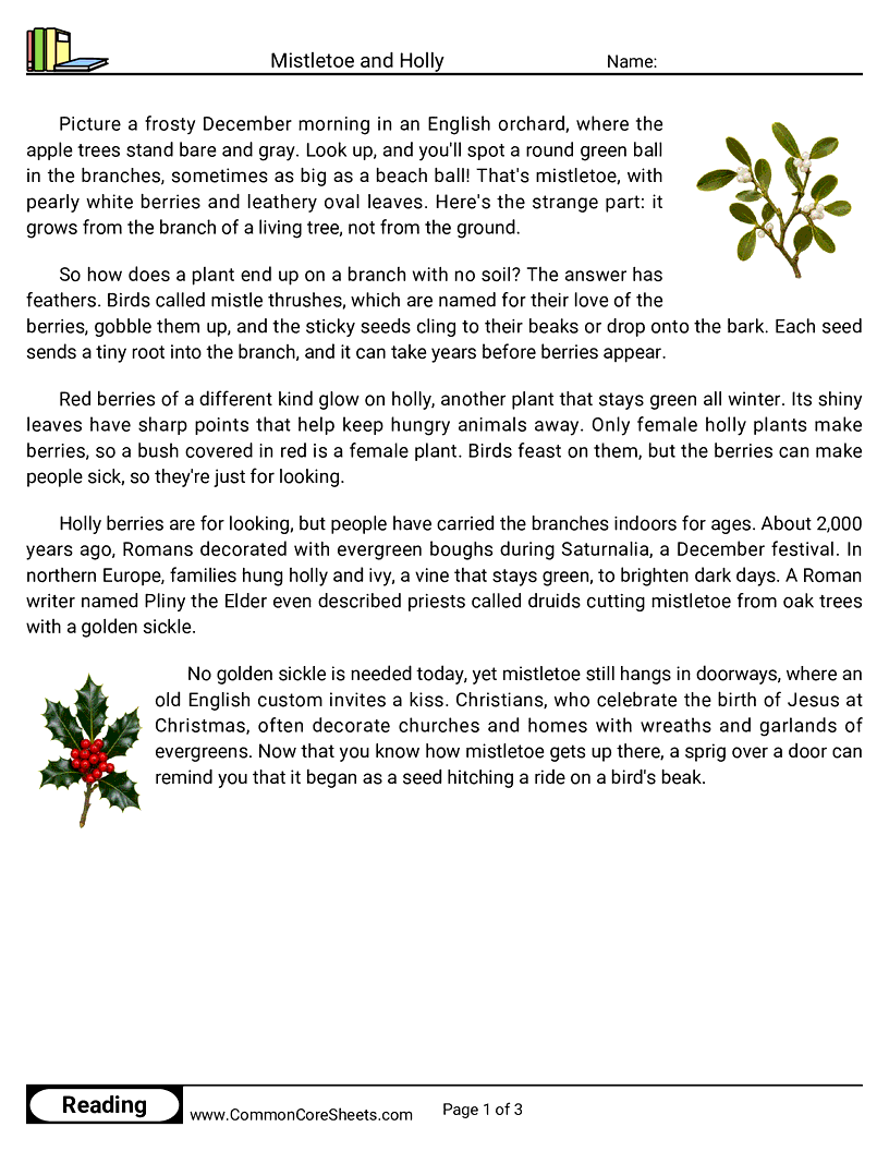 4th Grade 25 Days of Christmas Reading - Mistletoe and Holly worksheet