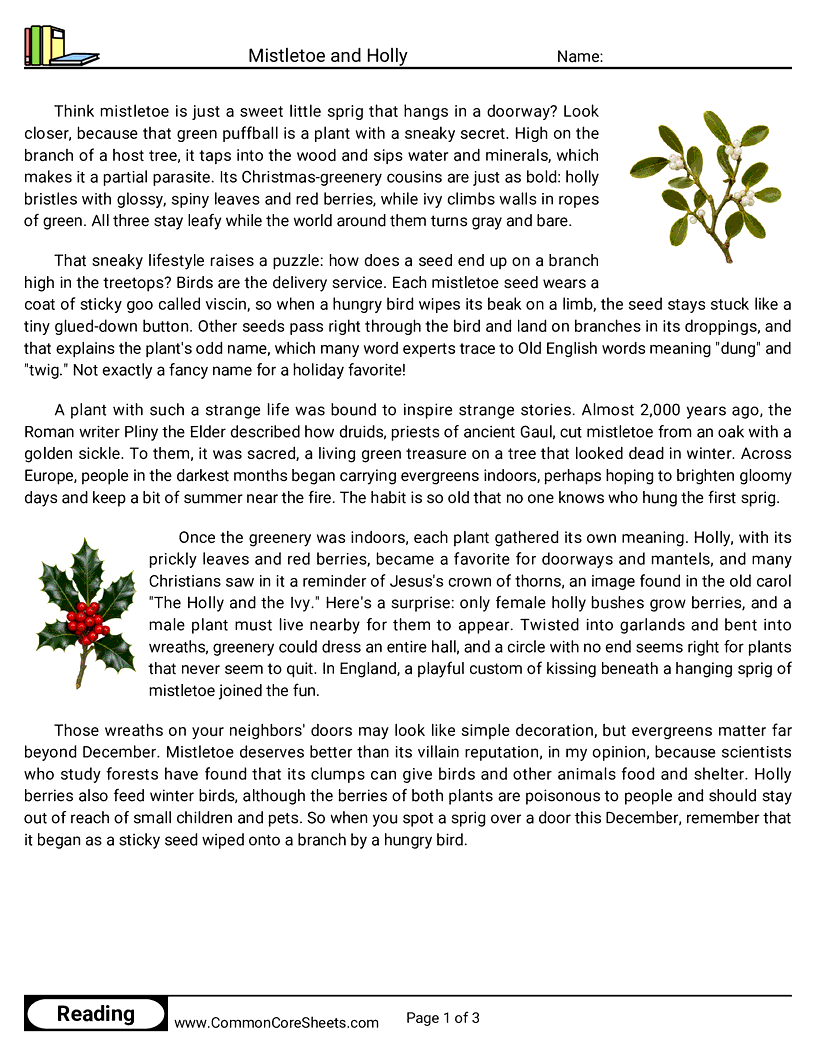 6th Grade 25 Days of Christmas Reading - Mistletoe and Holly worksheet